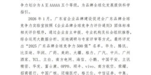 重磅！“2025广东品牌全球竞争力500强”评定结果公示