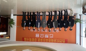 云帮众客全国运营山东服务中心正式揭牌，5万台径流发电设备战略规划